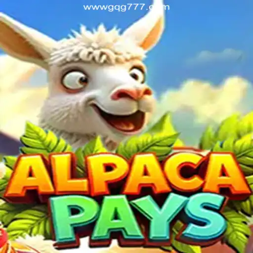 Experience Thrills and Adventure with AlpacaPays